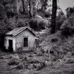 House on grassy field