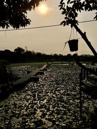 Scenic view of agricultural field against sky during sunset