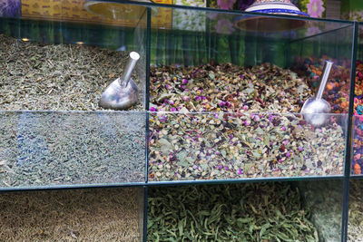 View of birds in market