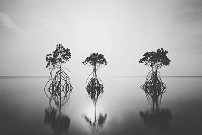 Silhouette trees by lake against sky
