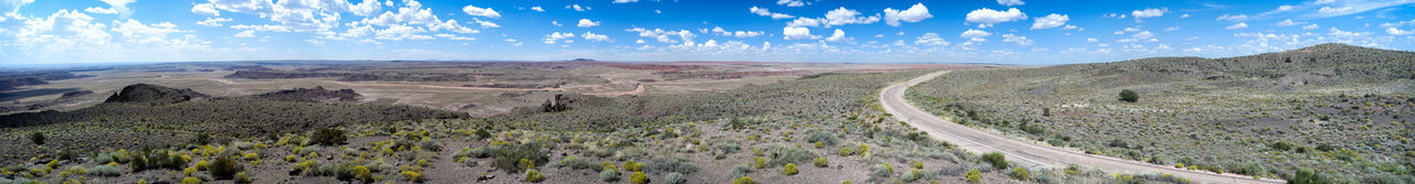 Landscape with mountain range in background