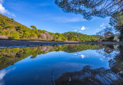 Scenic view of lake by trees against sky