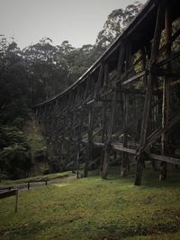 Footbridge in forest