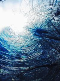 Digital composite image of trees against sky