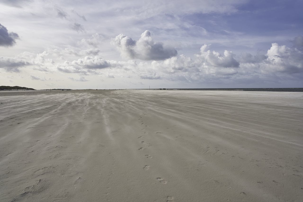 SCENIC VIEW OF SAND DUNE AGAINST SKY