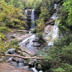 Scenic view of waterfall in forest