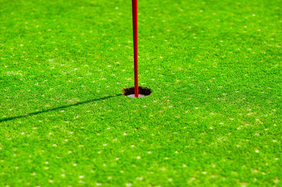 Flag on golf field