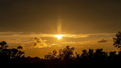 Natural frame of shadow tree on beautiful cloud at sunset. summer, spring and autumn backgrounds. 