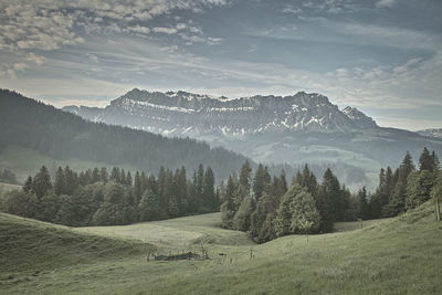 Scenic view of landscape against sky