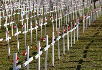 Row of cemetery on field