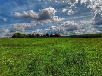 Scenic view of landscape against sky