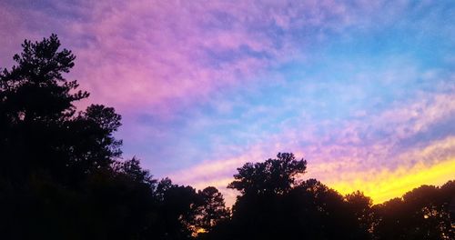 Silhouette of trees against cloudy sky