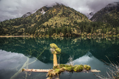 Scenic view of lake by trees against sky