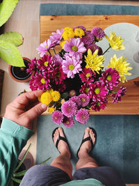 Low section of person holding purple flowering plant