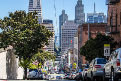 Panoramic view of city buildings