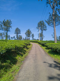 Road amidst trees on field against sky