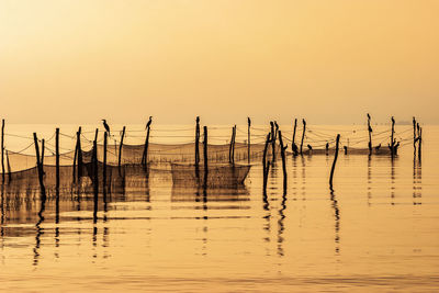 Seascape view with birds and fishing nets at sea in morning lights