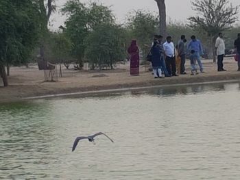 View of birds flying over water