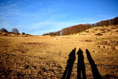 Shadow of man on field