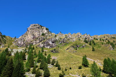 Low angle view of trees on mountain against clear blue sky