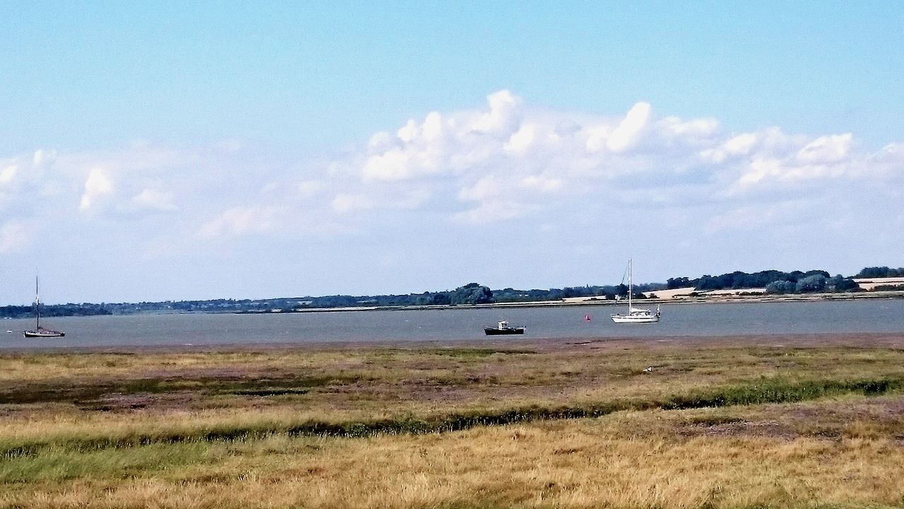 Estuary view