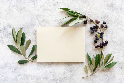 High angle view of leaves on table