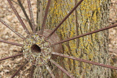 Full frame shot of rusty chain