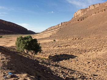 Trekking adventure in the desert sahara in morocco