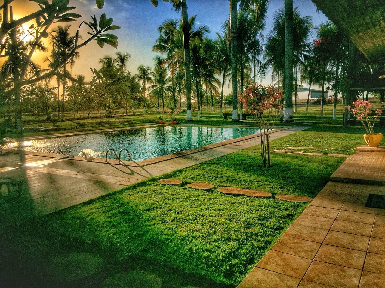 plant, tree, water, grass, nature, palm tree, pool, tropical climate, swimming pool, green color, tranquility, no people, growth, beauty in nature, day, tranquil scene, sky, lawn, lake, outdoors, garden path