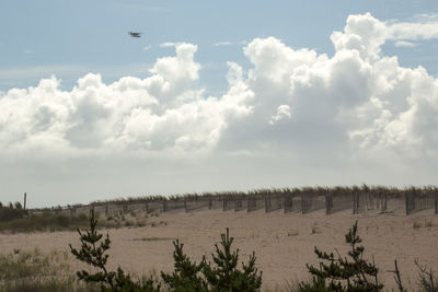 Panoramic view of land and trees against sky