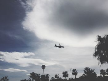 Low angle view of airplane in flight against sky