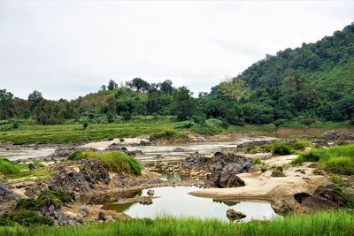 Scenic view of river in forest against sky