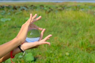 Cropped hands holding crystal ball on grassy land