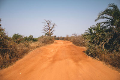 Dirt road amidst trees against clear sky