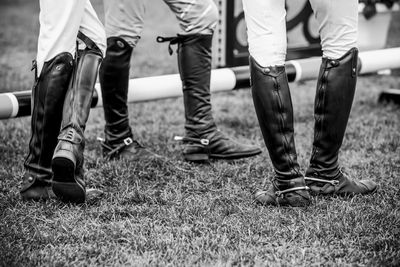 Horse jumping, equestrian sports, show jumping competition themed photograph.