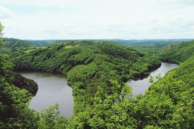 Scenic view of river amidst trees in forest against sky