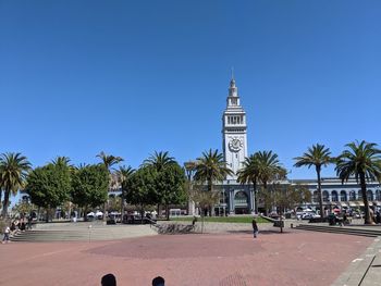 Trees by building against blue sky