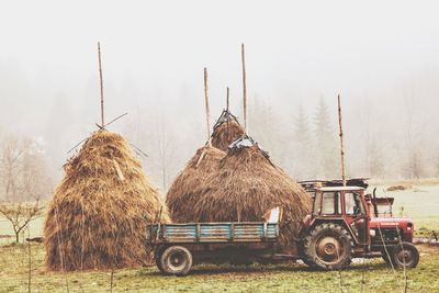 Horse cart on field against sky