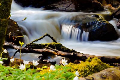 River flowing through rocks