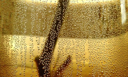 Close-up of water drops on glass