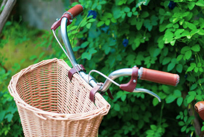 Close-up of bicycle in basket
