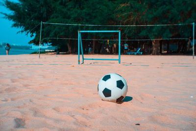 Ball playing soccer on field