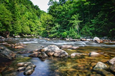 View of river flowing through rocks