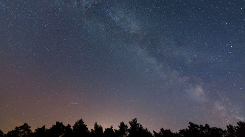 Low angle view of silhouette trees against sky at night