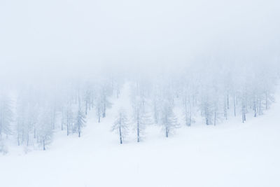 Trees on snow covered landscape against sky