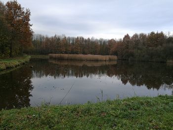 Scenic view of lake by trees against sky