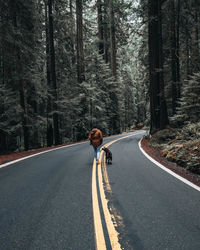 Man cycling on road amidst trees in forest