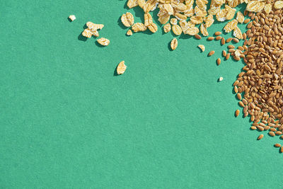 High angle view of food on carpet