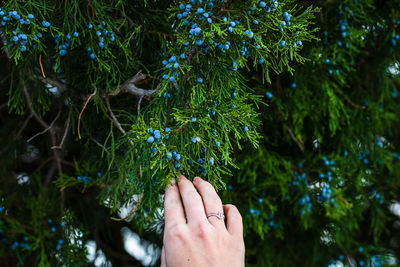 Midsection of person touching tree against plants