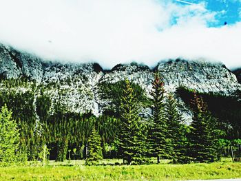 Scenic view of grassy field against cloudy sky